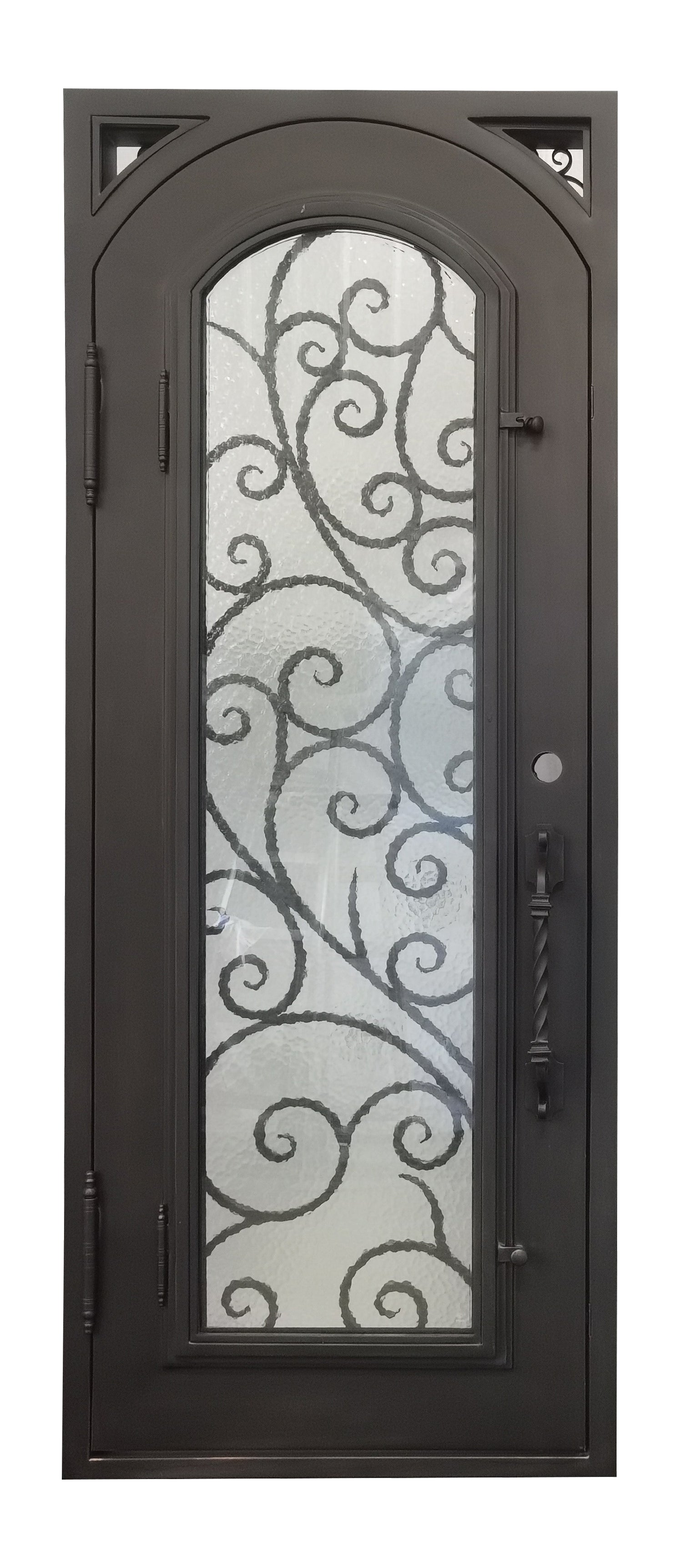 Carthage Model Pre Hung Single Front Entry Wrought Iron Door With Aqua Lite Glass